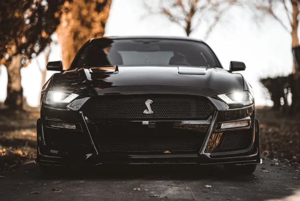 Luckland Kasyno Aplikacja Android/iOS